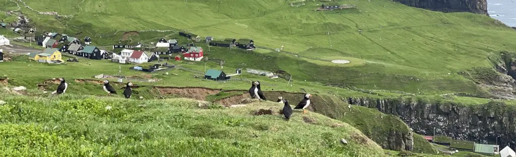 Discover Puffin Paradise in Mykines with Local Expert, Oda W. Andreasen