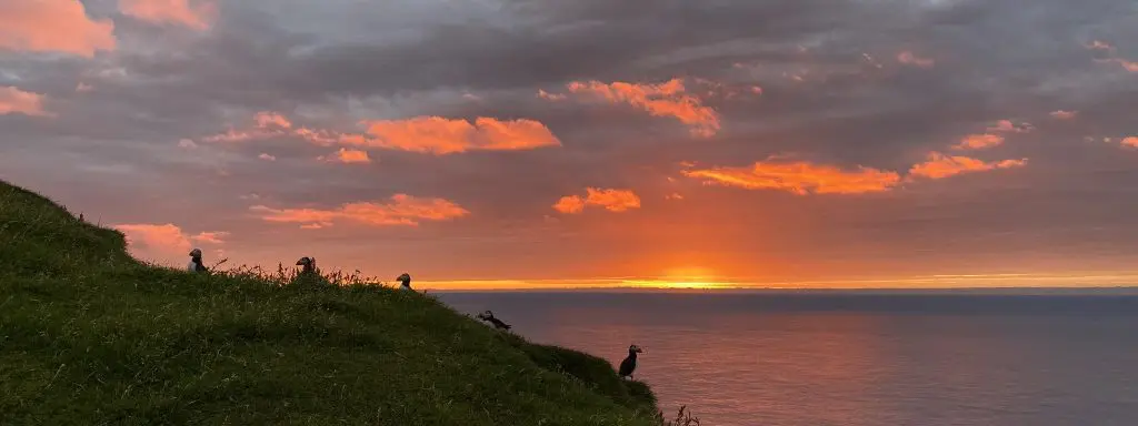 Mykines sunset and puffin tours 2027