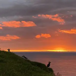 Mykines sunset and puffin tours 2026